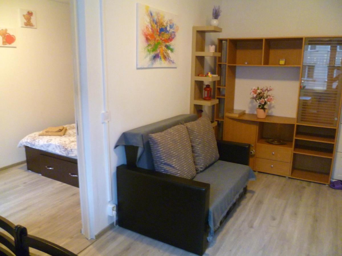 Romanilor - Studio First Floor Дева Екстер'єр фото