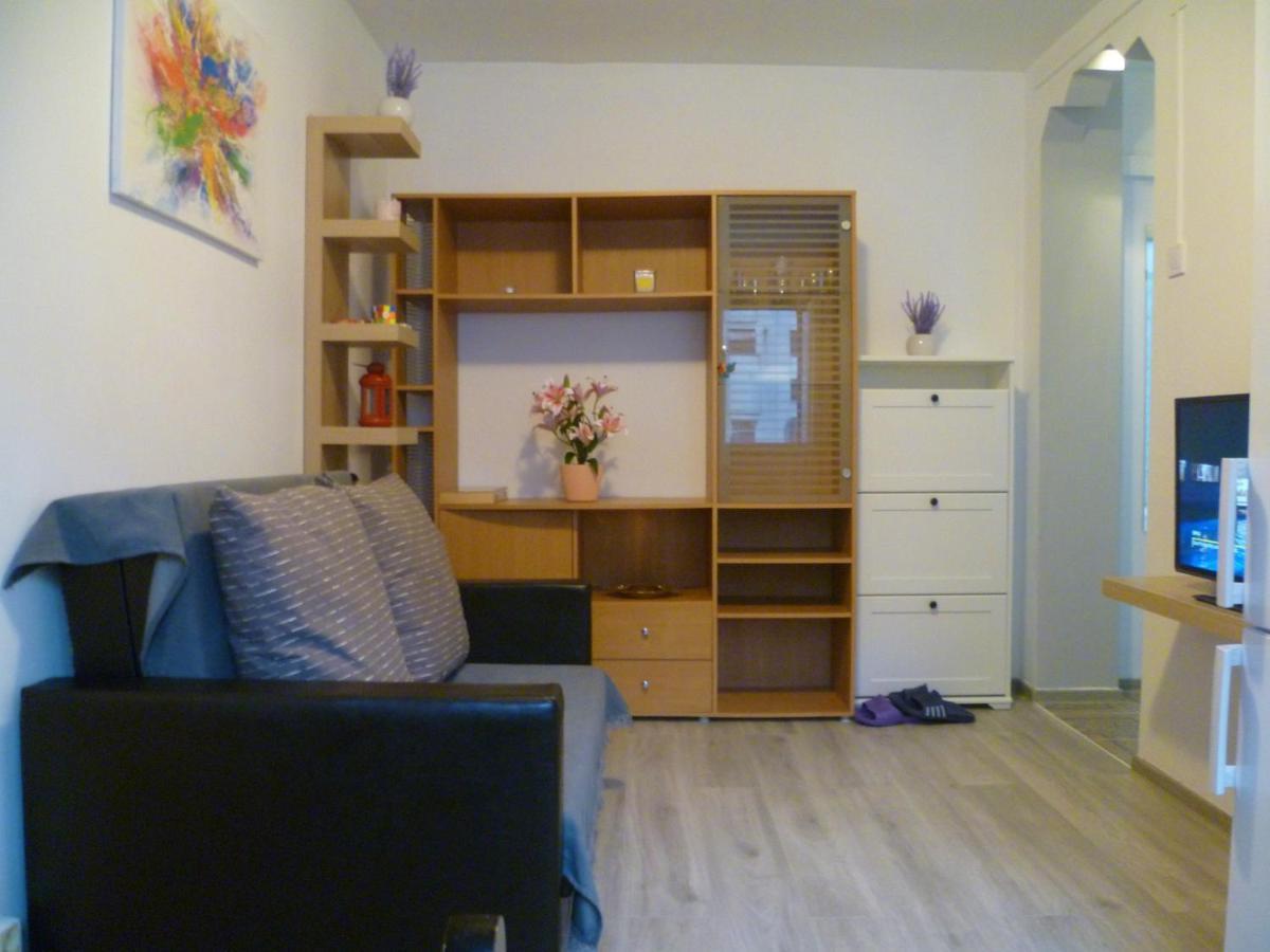 Romanilor - Studio First Floor Дева Екстер'єр фото